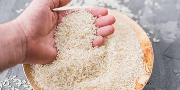 تصویر 3 از خرید و قیمت برنج چمپای محلی + فروش صادراتی